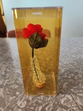 Source Unknown Red Rose in Gold-Toned Glass Display